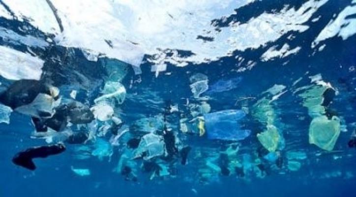 Avis portant sur la proposition de loi de pays relative à l'interdiction de mise sur le marché de divers produits en matières plastiques