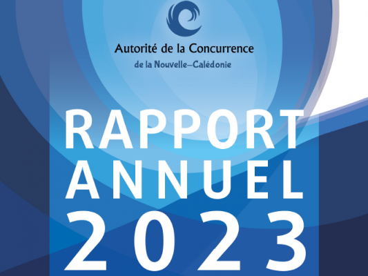 Rapport annuel 2023